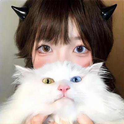 积木之箱